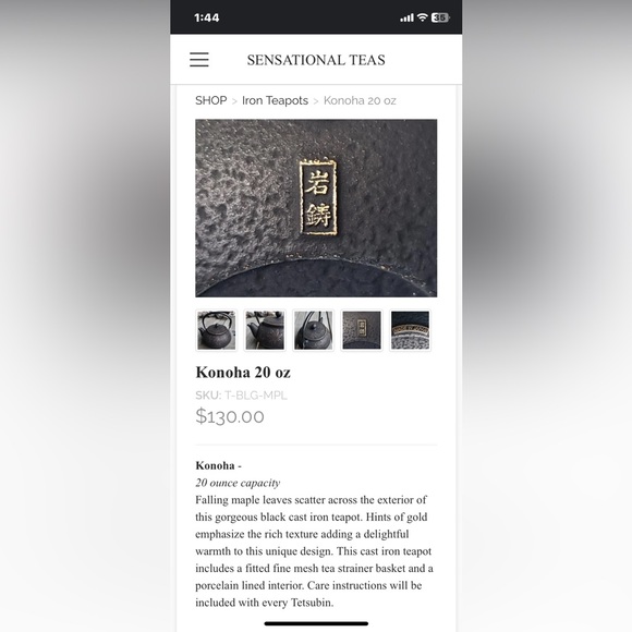 Japanese Tetsubin Cast Iron Teapot 20oz - Picture 11 of 12